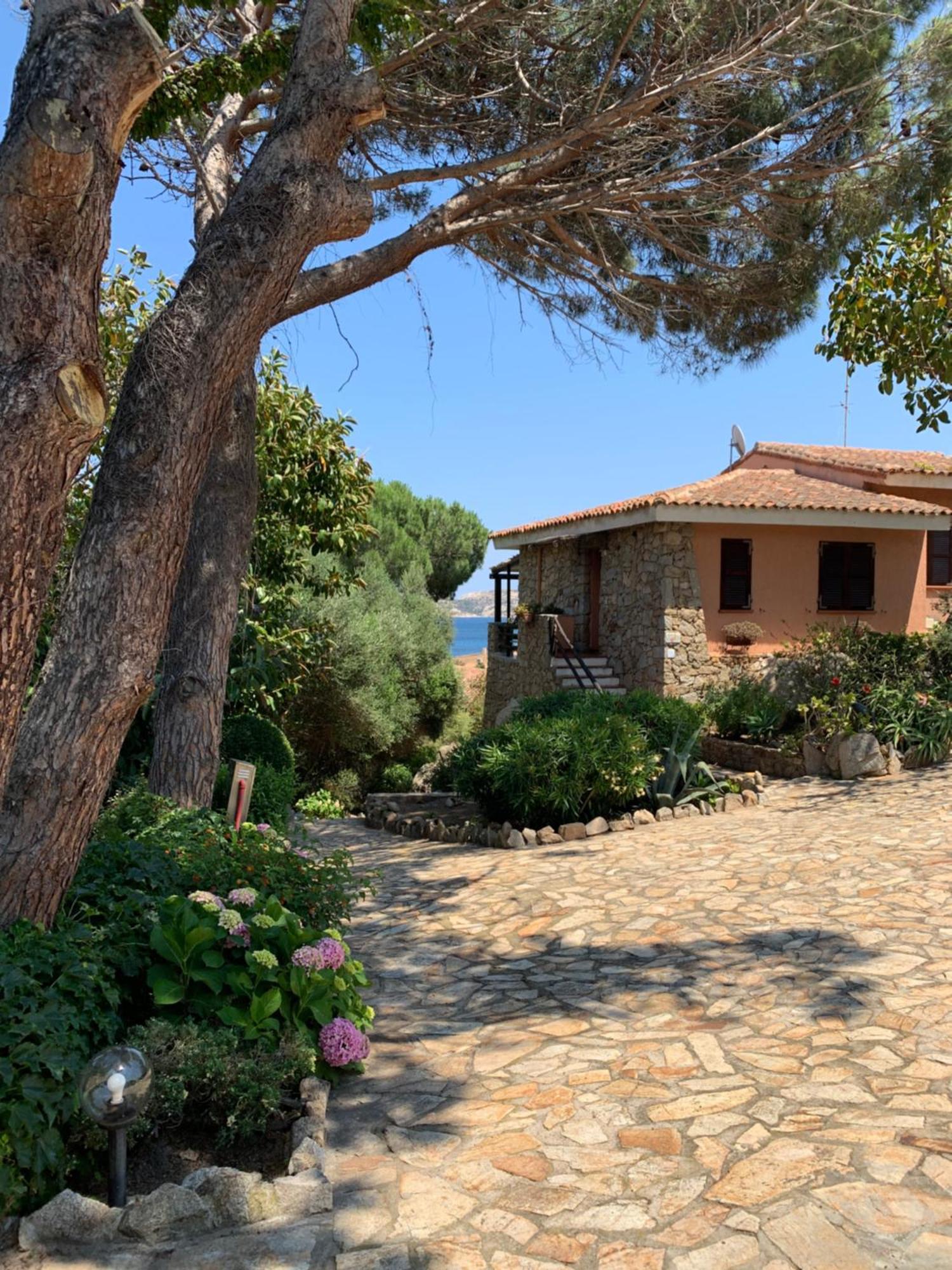 Casa Bougainvillea Casa Azara المظهر الخارجي الصورة